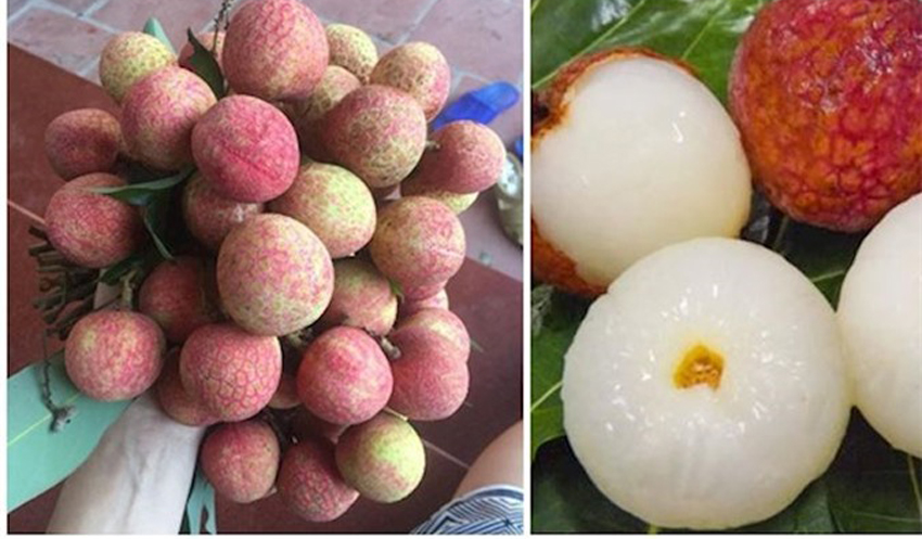 4 cách làm trà vải giải nhiệt ngày hè