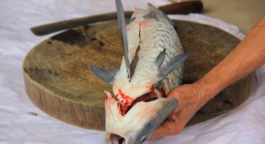 6 điều lưu ý để nấu canh chua cá lóc không bị tanh