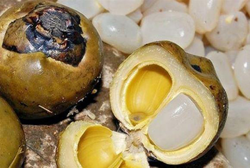 4 cách nấu chè hạt đác thanh mát cơ thể