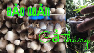 4 cach bao quan nam rom de duoc lau 2