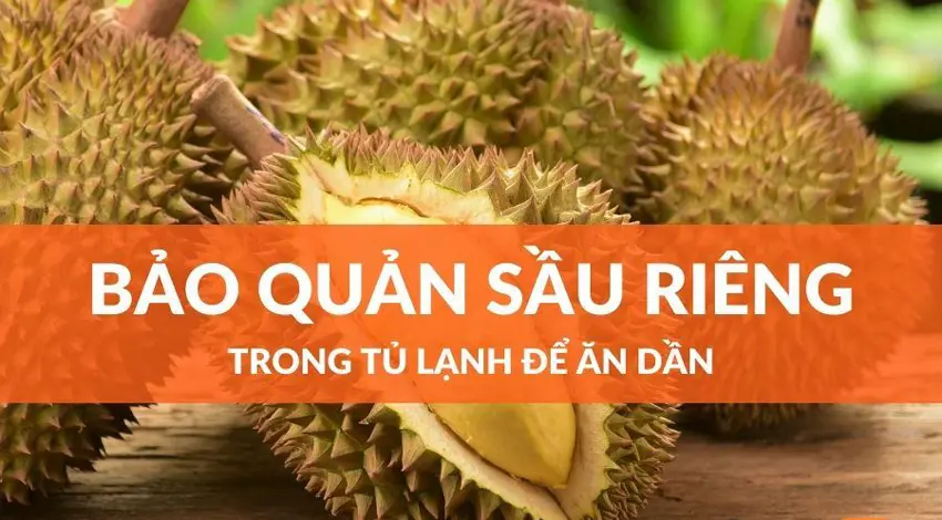 5 cách bảo quản sầu riêng tươi lâu